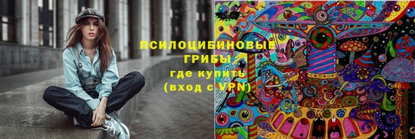 гашик Володарск