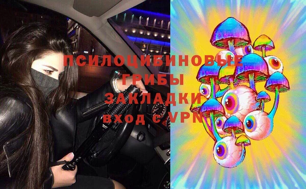 гашик Володарск