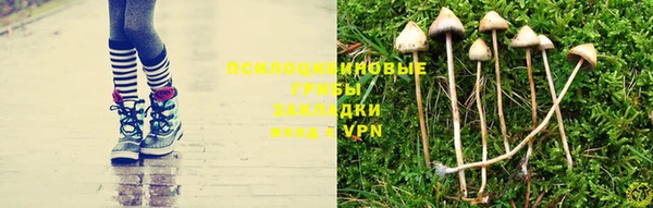 соль курить ск Волосово